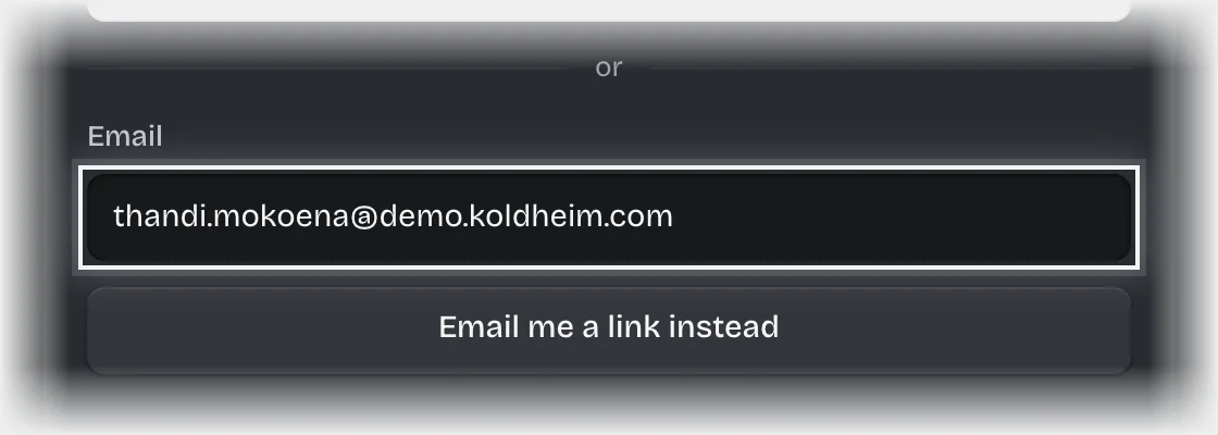 The sign-in card with a work email typed in the Email field, outlined, above the Email me a link instead button