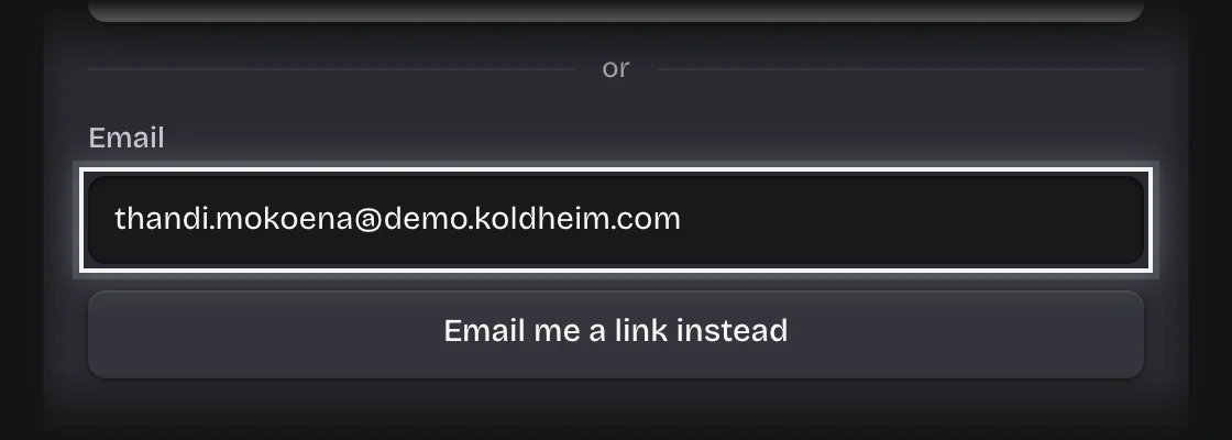 The sign-in card with a work email typed in the Email field, outlined, above the Email me a link instead button